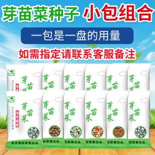 芽苗菜豆籽无土栽培纸上种菜麻豌豆油葵子苗水培蔬菜发黄豆芽