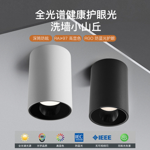 le明装 筒灯圆形cob吸顶射灯过道背景墙客厅餐厅免开孔防眩筒灯