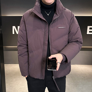 设计师款立领羽绒服男冬季外套3958-P190图片