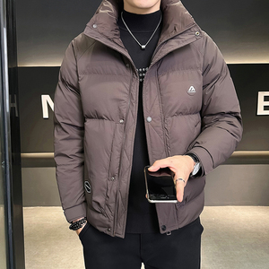 羽绒服男装立领加厚冬装外套8625-P185图片