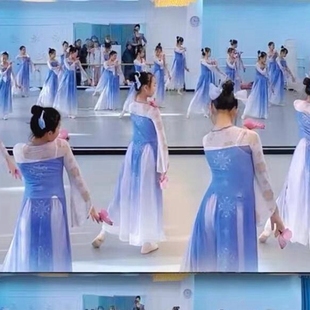 2024新款夏季汉服飘逸如梦令服装纱衣身韵表演舞蹈伞服演唐装