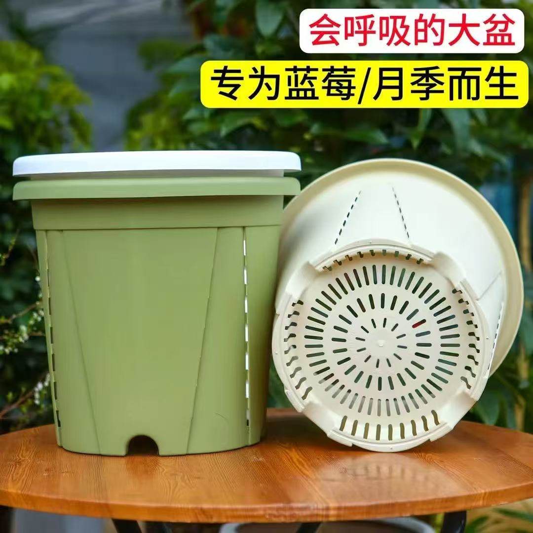 新款侧面多透气花盆通风防烂根树脂青山控根盆月季加厚塑料加仑盆,鲜花速递/花卉仿真/绿植园艺,花盆,淘宝优惠券,粉丝福利购,淘宝优惠卷