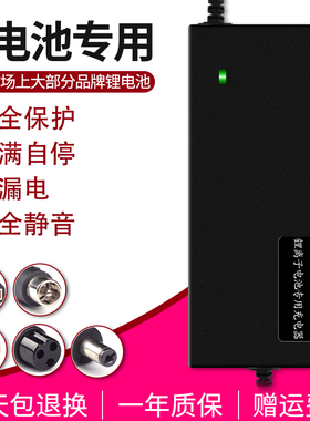 12V锂电池充电器3.2V铁锂4串14.6V2A12V60AH80AH100AH180A锂电池