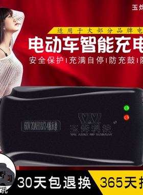 24伏铅酸电瓶电动车充电器24V12AH20AH32ah40AH50AH9玩具车轮椅车