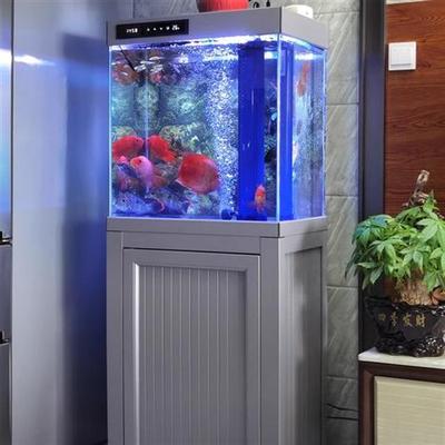 2025新款超白玻璃龙鱼缸客厅鱼缸一体带底滤柜子免换水落地金鱼缸