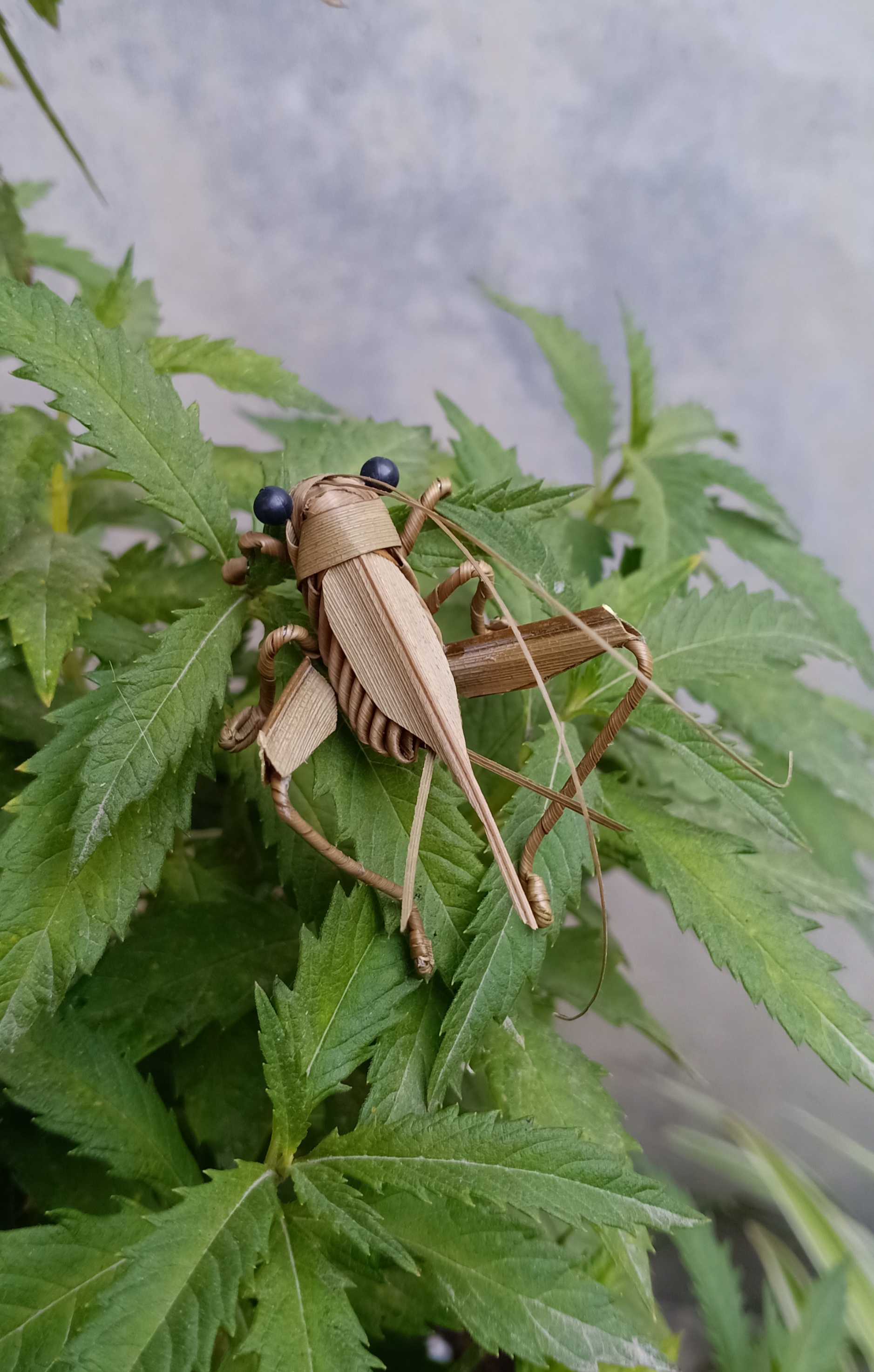 棕编草编蛐蛐蟋蟀非遗手工制作昆虫动物影视道具摆件儿童玩具dlv