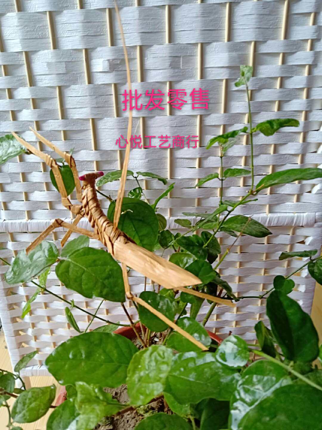 仿草编小动物蚂蚱蝴蝶孔雀螳螂手工编制民间工艺品艺术品幼儿园手
