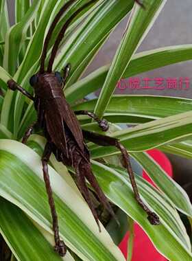 仿草编昆虫动物蛐蛐蟋蟀蚂蚱螳螂民间手工编制摄影道具DLV儿童创