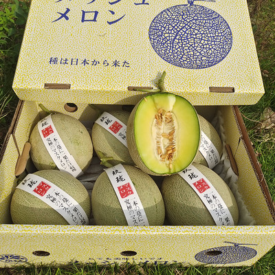 【礼盒装】日本品种静冈冰淇淋网纹蜜瓜牛三海南哈密瓜玫珑蜜瓜