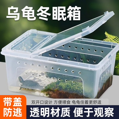 乌龟冬眠箱爬宠饲养盒吸水树脂专用垫材黄缘巴西龟过冬装备用品