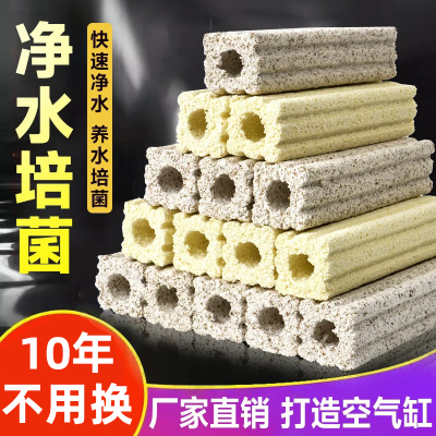 细菌屋鱼缸过滤材料周转箱滤材硝化细菌培菌鱼池过滤底滤水质净化