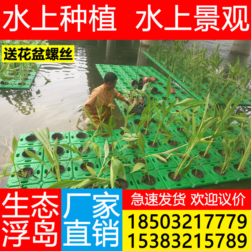 人工生态浮岛水上种植浮床水生植物绿化造景河道水面景观设计浮岛