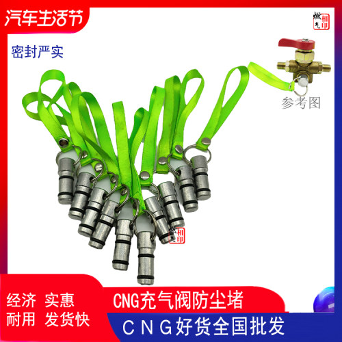 CNG/LPG汽车天然气防尘堵头 充气阀防尘塞 加气阀配件