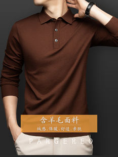 针织衫毛衣男装POLO领百搭打底轻奢冬季商务休闲套头上衣