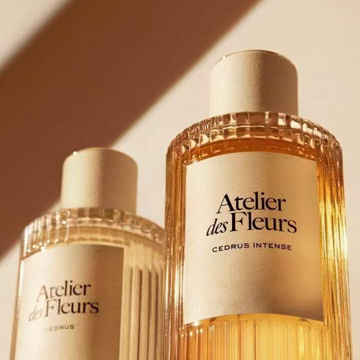 新品深林雪松北国雪松森林雪松CEDRUS INTENSE女士香水小样