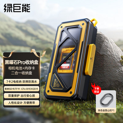 绿巨能相机电池内存SD卡收纳盒