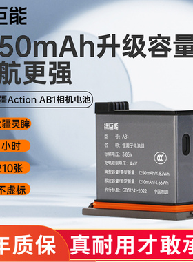 绿巨能适用于DJI大疆 OSMO ACTION灵眸运动相机电池 AB1灵眸三充充电器USB移动充电配件Micro/TYPE-C