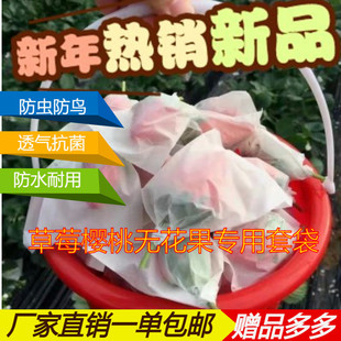 草莓无花果专用套袋冬枣袋柑橘防虫防晒果袋防水杏子纯木浆纸李子