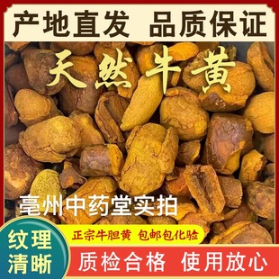 西黄 中药材 包邮 天然牛黄 中药材牛结石 非管黄 牛胆黄1g克 丑宝