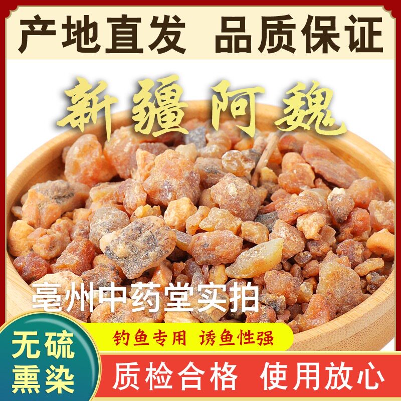 钓鱼推荐新疆五彩阿魏药材中药材小药野钓臭阿魏药酒正品10克包邮