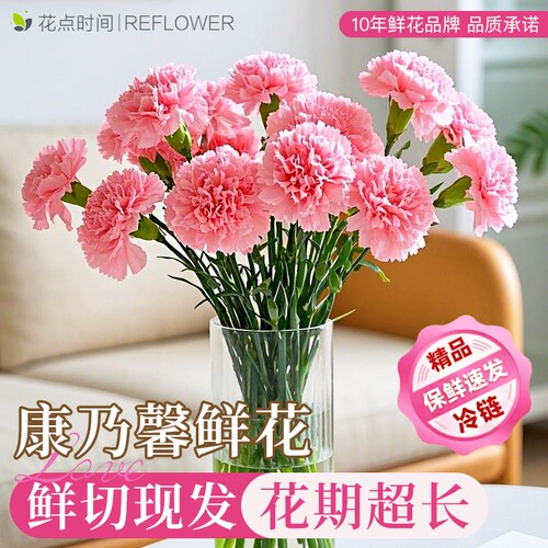 单头红粉康乃馨多头康乃馨鲜切花云南鲜花基地直发家用母亲节花束