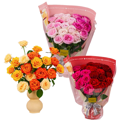 花点时间多头玫瑰鲜花云南基地直发水养插花家用办公送人鲜切花束