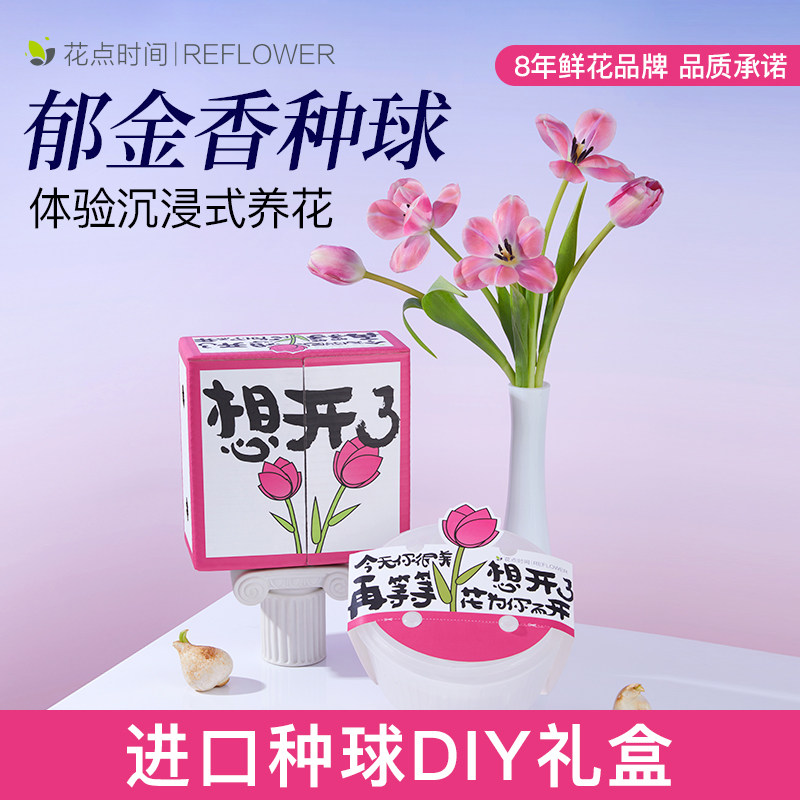 花点时间郁金香种球鲜花种子好养水培花卉盆栽重单瓣荷兰进口礼盒属于什么档次？