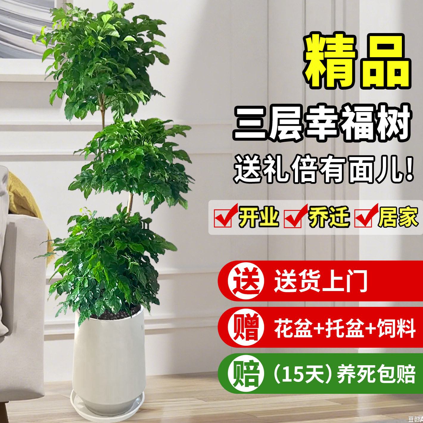 精品大型多层幸福树盆栽造型老桩树室内植物客厅四季常绿开业送礼
