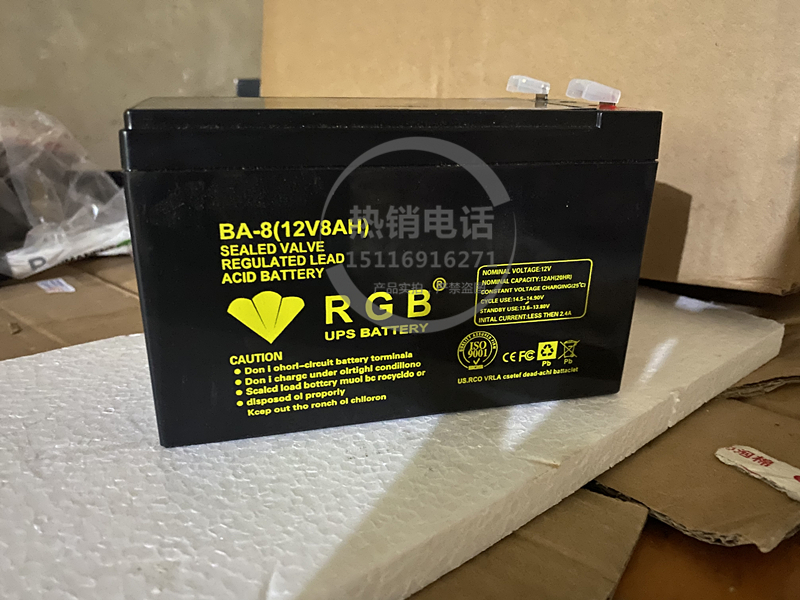 美国RGB蓄电池12V8AH 消防...