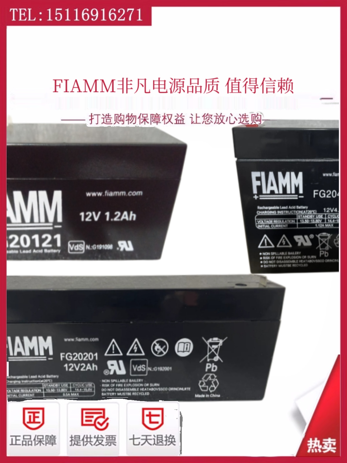 FIAMM非凡电池FG20451/...