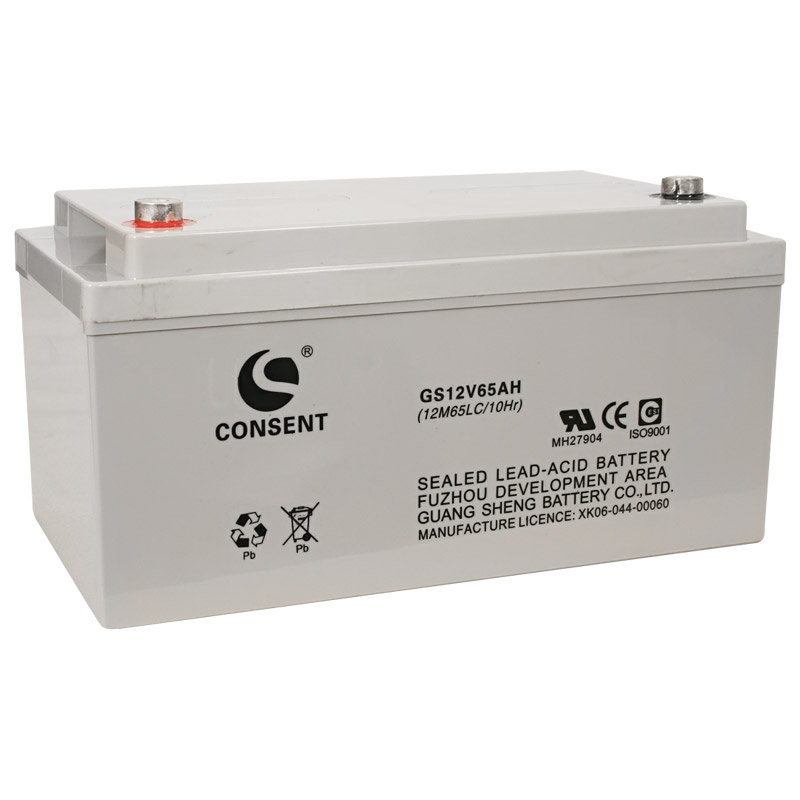 美国CONSENT电池GS12-65 AH 美国CONSENT蓄电池12V65AH正品包邮