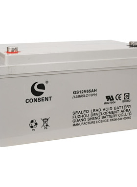 美国CONSENT电池GS12-65 AH 美国CONSENT蓄电池12V65AH正品包邮