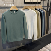 圆领毛衣男秋冬季 纯色修身 保暖内搭长袖 LUUD 针织衫 打底毛线衣男