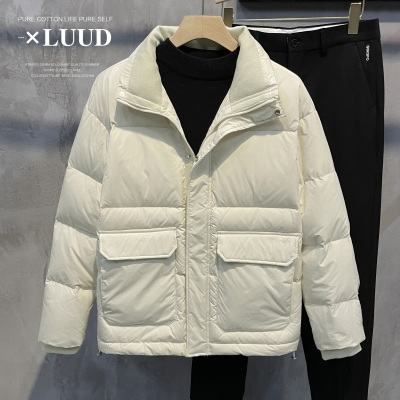 羽绒服男士立领休闲白鸭绒
