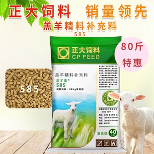 正大585羔羊精料补充料羔羊饲料颗粒断奶育肥增肥无激素原厂整包