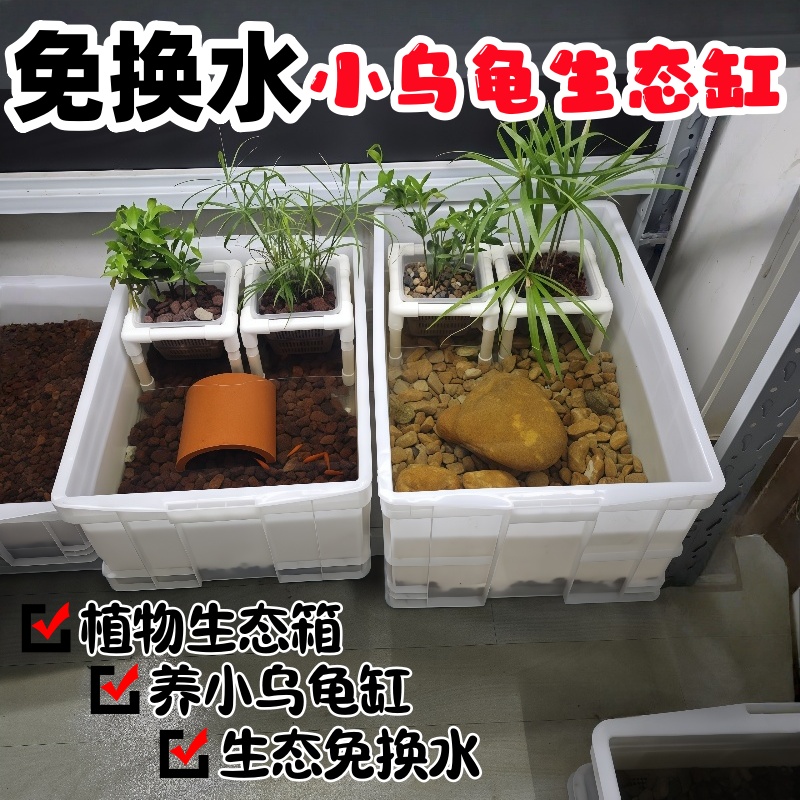 免换水生态养龟箱定植篮植物龟缸