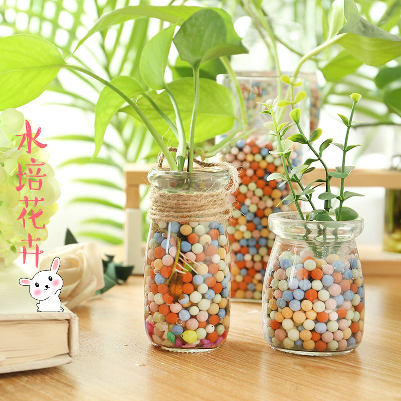 特价水培彩色陶粒  家用绿植多肉养花铺面石透气保湿美观好看包邮