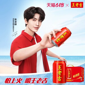 王老吉凉茶植物饮料整箱装