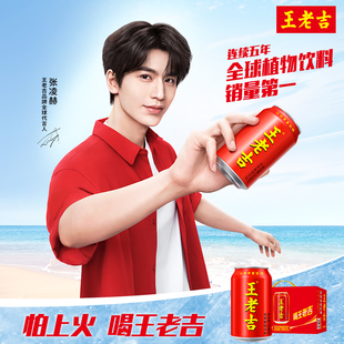 王老吉红罐凉茶植物饮料310ml 解辣解腻清爽火锅必备 12罐整箱装
