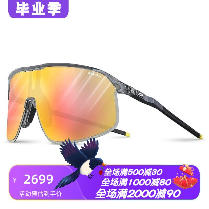 JulboDensity太阳眼镜中性运动