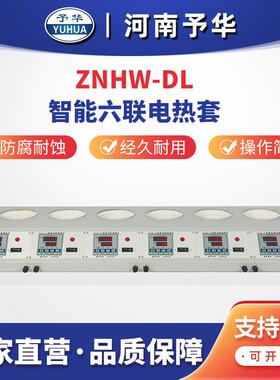 ZNHW-DL数显多联电热套(六联)100ML250ML500ML1000ML河南予华
