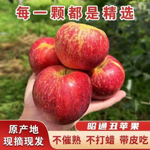 高海拔当季新鲜脆甜丑苹果