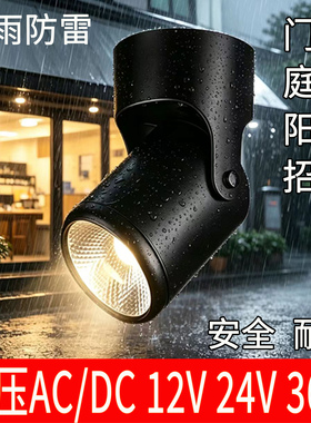 低压ACDC12v24v36v户外防水射灯门头屋檐牌匾广告牌庭院led壁灯