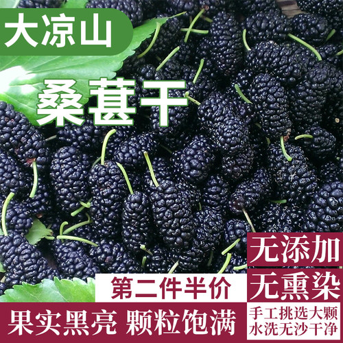 桑葚泡水桑葚干四川凉山