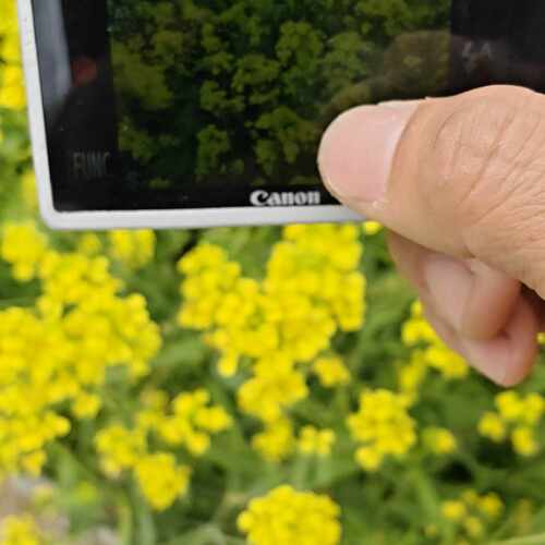 佳能IXUS 240 HS银色，8g卡，外屏有点瑕疵，已拍议价