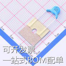 Q07B1D101KQ0T0S0N0 安规电容 等级:Y1 100pF ±10% 400VAC 现货