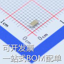 CC1206KRX7RYBB102 贴片电容(MLCC) 1nF ±10% 250V 现货