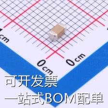 FM31X334K101EEG 贴片电容(MLCC) 330nF ±10% 100V 现货