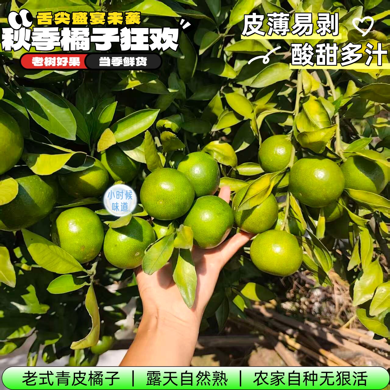 安徽酸甜老式青皮橘子新鲜薄皮蜜桔露天无狠活天然健康孕妇水果
