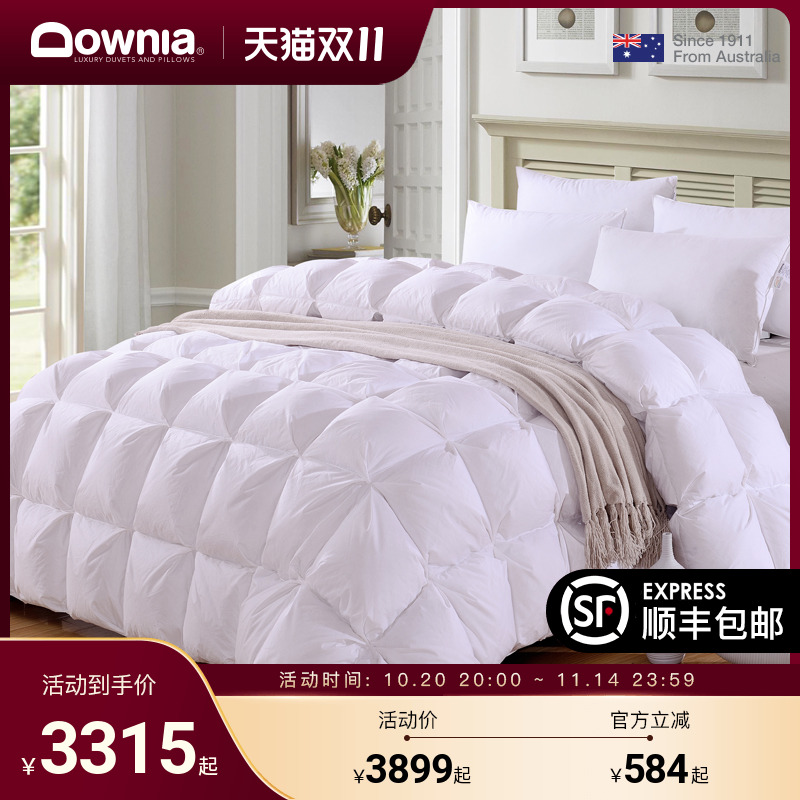 downia加厚保暖羽绒被冬季被芯